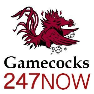 gamecocks|gamecocks 247.